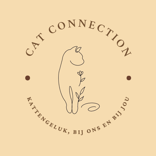 Cat Connection
